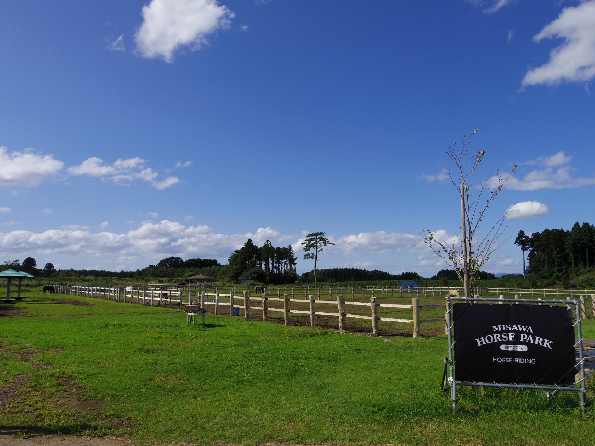 三沢ホースパーク　MISAWA HORSE PARK写真