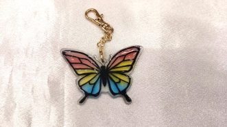 『プチワークショップ「ちょうちょプラバン」】