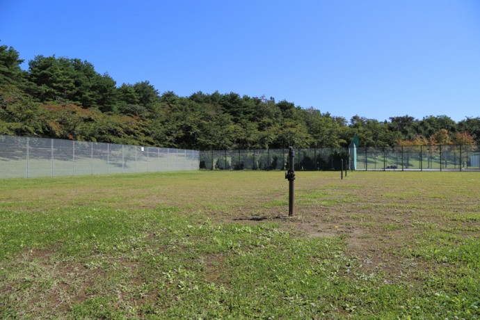 三沢市民の森運動公園 ドッグラン写真