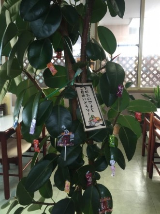 三沢市街パシャ写真『木になってて気になってた】