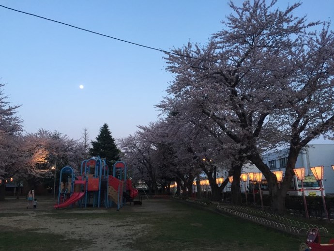 三沢市街パシャ写真『お月さまと花見】