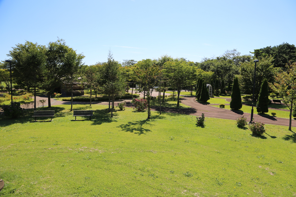 ふるさとはまなす公園（犬の入れる公園）写真
