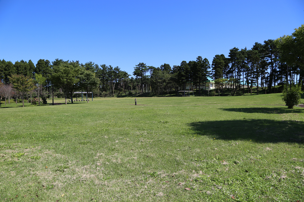 ふるさとはまなす公園（犬の入れる公園）写真
