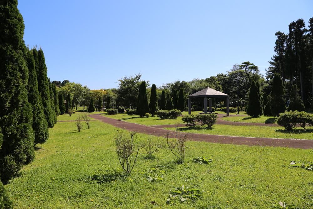 ふるさとはまなす公園（犬の入れる公園）写真