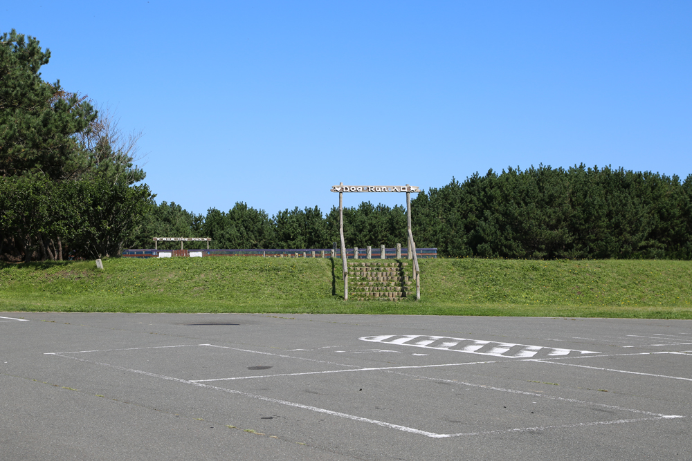 四川目ふるさと広場ドッグラン写真