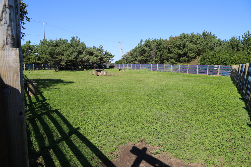四川目ふるさと広場ドッグラン写真