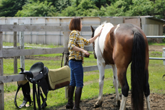 三沢ホースパーク　MISAWA HORSE PARK写真