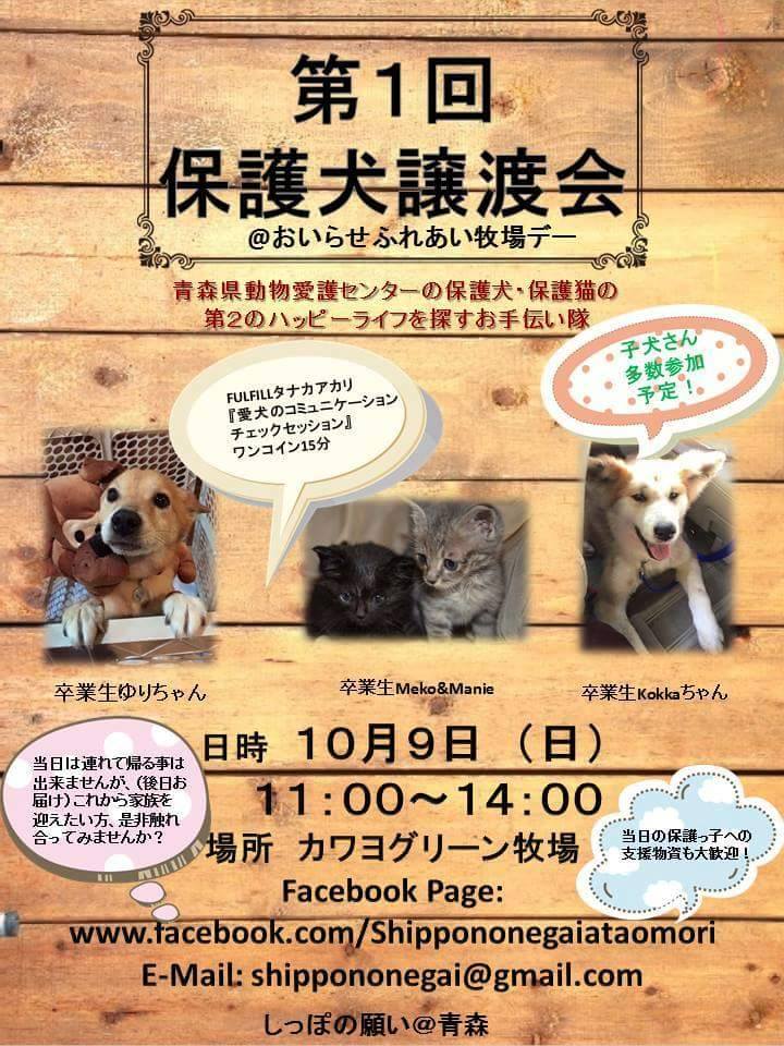 第1回 保護犬譲渡会 おいらせふれあい牧場デー 三沢タイムズ