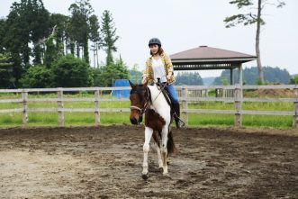 【三沢ホースパーク　オープン記念・馬に乗ろう！イベント　Misawa Horse Park】写真