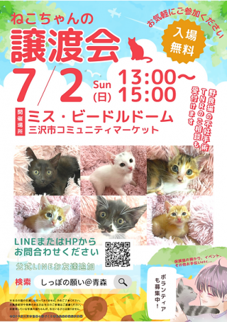 【しっぽの願い＠青森主催「ねこちゃんの譲渡会」】写真