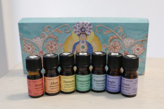 【Dharma〜ダルマ〜】写真